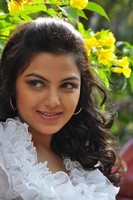 Priya Stills